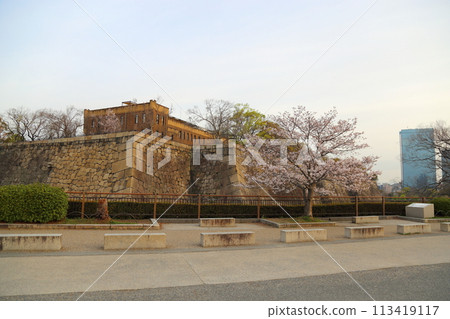 Special Historic Site: Cherry Blossom Viewing at Osaka Castle Park 113419117