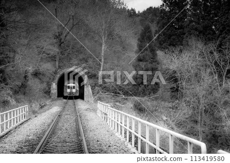 列車駛離~只見線~ 列車駛離~只見線~ 113419580