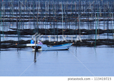 Omuta City Ariake Sea Nori field, Omuta City Ariake Sea Nori field, 113419723