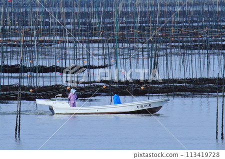 大牟田市有明海紫菜場, 大牟田市有明海紫菜場, 113419728