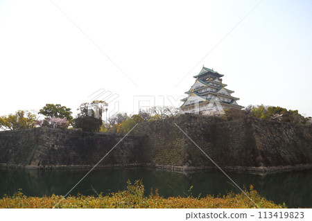 特別史蹟 大阪城公園賞櫻<天守閣> 113419823