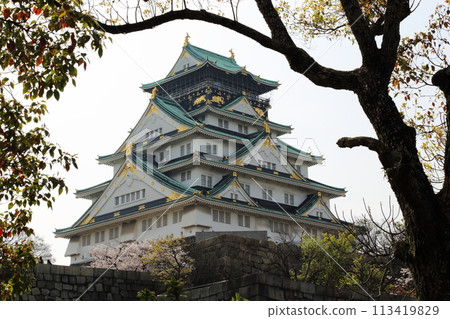 特別史蹟 大阪城公園賞櫻<天守閣> 特別史蹟 大阪城公園賞櫻<天守閣> 113419829