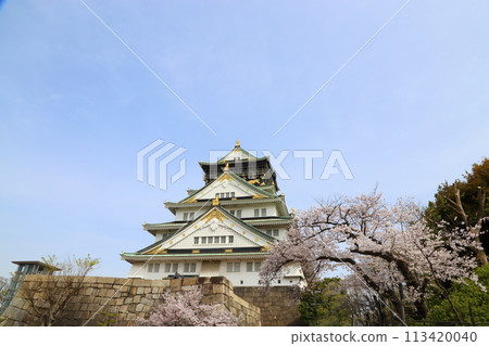 特別史蹟 大阪城公園賞櫻<天守閣> 113420040