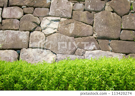 [愛知縣] 清須市旭城宅邸清須城石牆 113420274