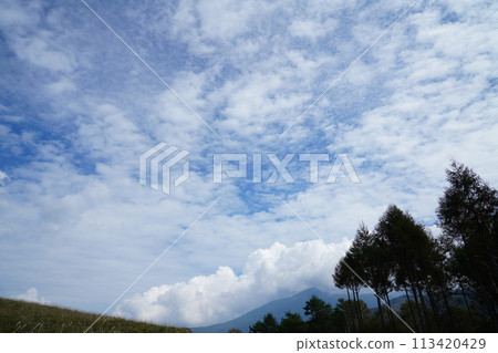 藍天下的草原景色令人心曠神怡 藍天下的草原景色令人心曠神怡 113420429