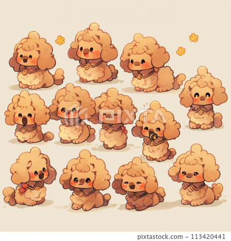 Various poses and expressions of a brown toy poodle 113420441