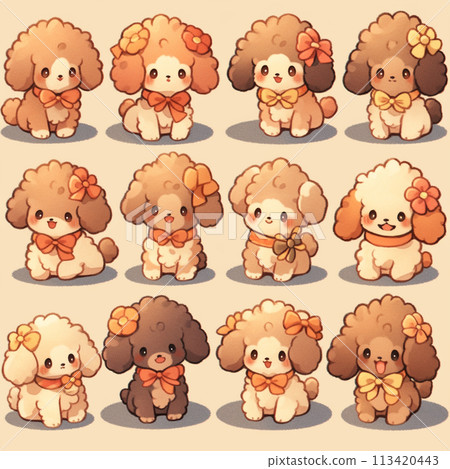 棕色玩具貴賓犬的各種姿勢與表情 113420443