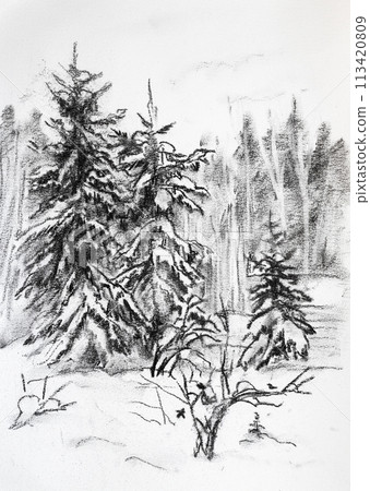 winter landscape with spruces 113420809