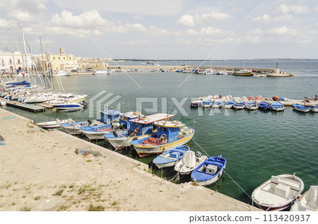 Scenic view of Gallipoli, Salento, Italy 113420937