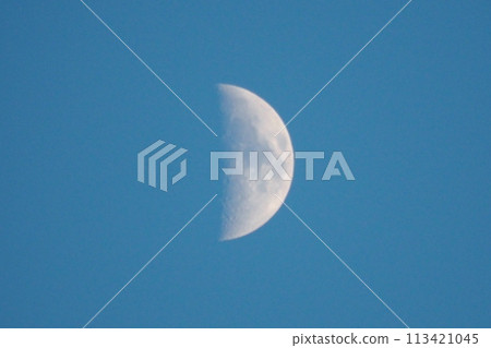 午間月亮 113421045