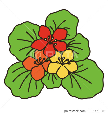 戰鬥蜘蛛 戰鬥蜘蛛 113421108