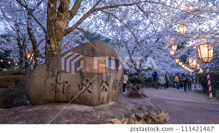 打椿公園的夜櫻（倉吉市） 113421487