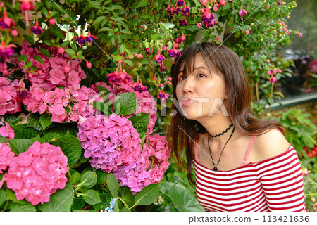 台灣六月盛開的繡球花和亞洲女孩 113421636