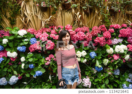 台灣六月盛開的繡球花和亞洲女孩 台灣六月盛開的繡球花和亞洲女孩 113421641