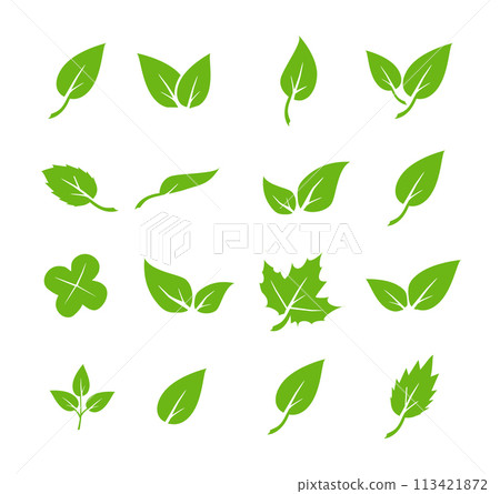 Green leaf icons set. Elements design for natural, eco, vegan. Leaves icon on isolated background. Collection green leaf. Vector Green leaf icons set. Elements design for natural, eco, vegan. Leaves icon on isolated background. Collection green leaf. Vector 113421872