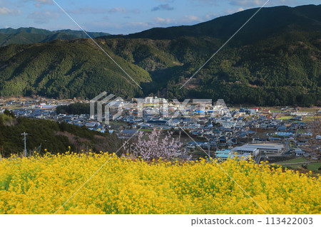 Konan City, Kochi Prefecture, rapeseed flower field in the sky, Konan City scenery Konan City, Kochi Prefecture, rapeseed flower field in the sky, Konan City scenery 113422003