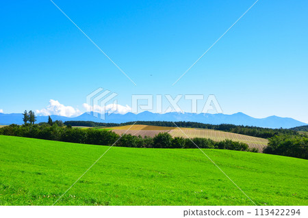 Hill Town Biei Town Hill Town Biei Town 113422294