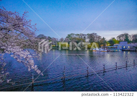 井之頭公園 井之頭公園 113422322