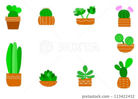 Cactus and succulent frame postcard 113422432