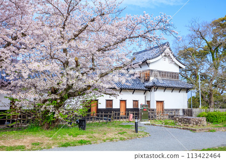 福岡縣福岡市春天的福岡城跡 113422464