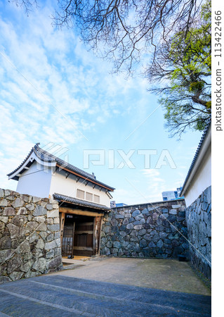 福岡縣福岡市春天的福岡城跡 113422466