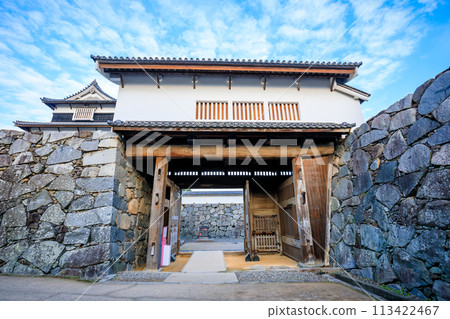 Spring in Fukuoka Castle Ruins, Fukuoka City, Fukuoka Prefecture 113422467