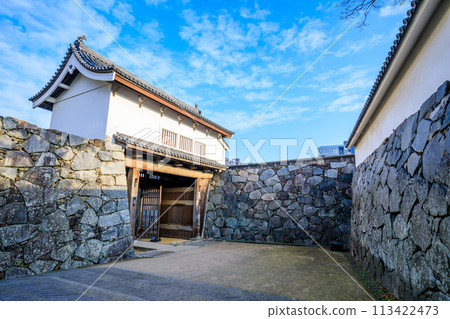 Spring in Fukuoka Castle Ruins, Fukuoka City, Fukuoka Prefecture Spring in Fukuoka Castle Ruins, Fukuoka City, Fukuoka Prefecture 113422473