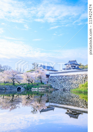 福岡縣福岡市春天的福岡城跡 113422474