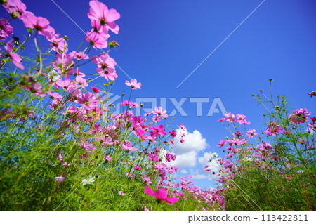 京人峽的秋天：清爽的宇宙 113422811