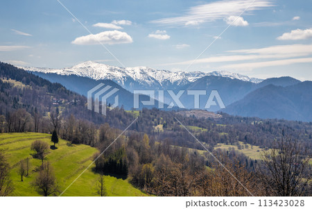 Spring landscape with snowy mountains in the background. 113423028