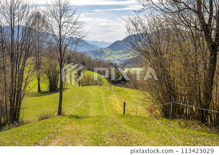 Spring landscape with green meadows and mountains. Spring landscape with green meadows and mountains. 113423029