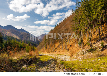 A mountain valley with a stream bed. A mountain valley with a stream bed. 113423030