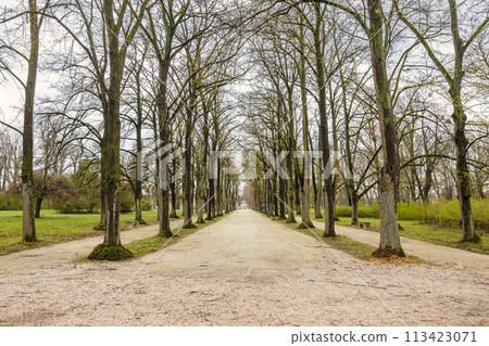 Alley of trees in The Eszterhaza castle park in Fertod, Hungary. Alley of trees in The Eszterhaza castle park in Fertod, Hungary. 113423071