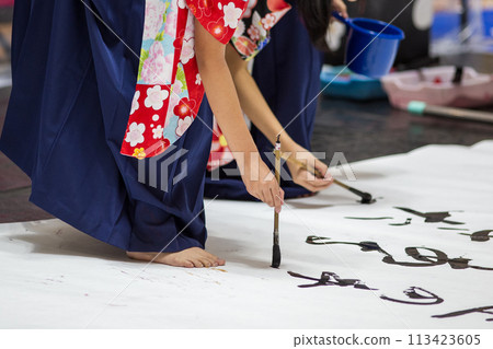 Female doing calligraphy 113423605