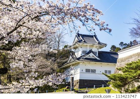 Cherry blossoms at the ruins of Aoba Castle and the statue of Date Masamune on horseback 113423747
