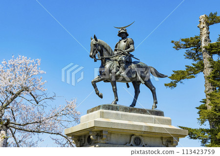 Cherry blossoms at the ruins of Aoba Castle and the statue of Date Masamune on horseback 113423759