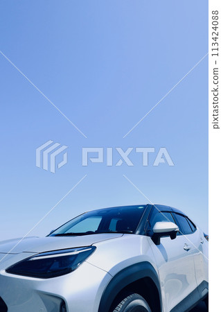 藍天和汽車 113424088