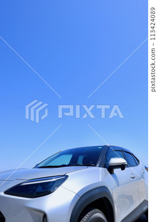 藍天和汽車 113424089