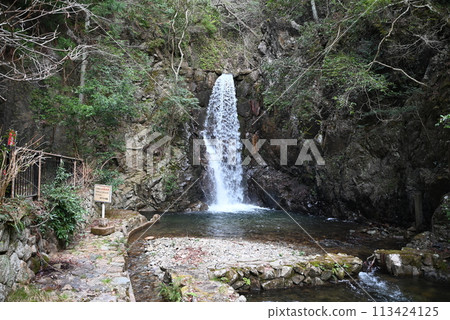 [Hyogo Prefecture] Arima Onsen, Tsuzumigataki Falls 113424125