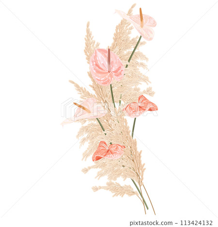 Tropical boho, bohemian bouquet with pink anthurium and reed. Stock vector illustration. 113424132