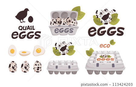 Set of vector quail eggs in different forms Set of vector quail eggs in different forms 113424203