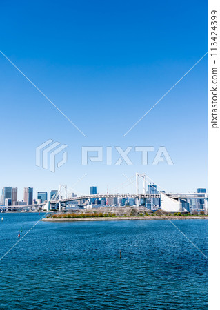 [東京]從台場看到的彩虹橋和東京鐵塔 113424399