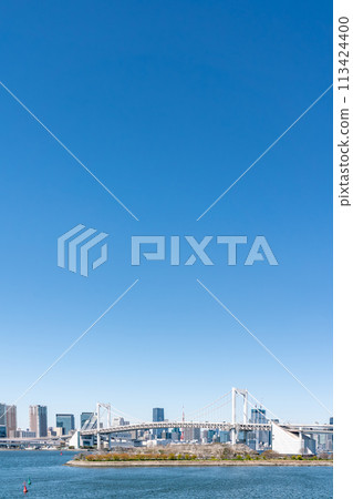[Tokyo] Rainbow Bridge and Tokyo Tower as seen from Odaiba 113424400