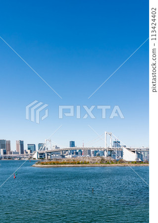 [Tokyo] Rainbow Bridge and Tokyo Tower as seen from Odaiba 113424402