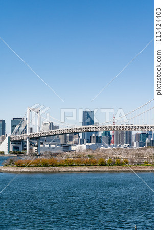 [東京]從台場看到的彩虹橋和東京鐵塔 113424403