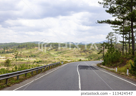 A Beauty Road Through Pine Forest In Lam Dong Province, Vietnam. 113424547