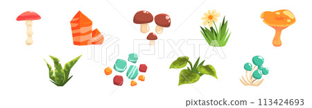 Forest Element and Outdoor Environment Object with Mushroom, Stone and Grass Vector Set 113424693
