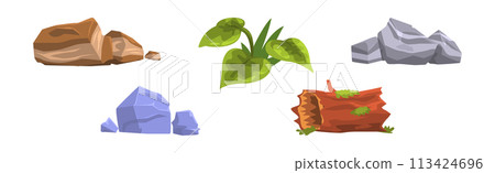 Forest Element and Outdoor Environment Object with Boulder, Log and Leaf Vector Set 113424696