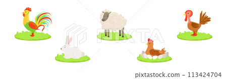 Farm Livestock and Domestic Yard Animal Vector Set 113424704