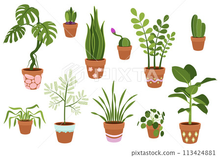 A set of potted indoor plants. Vector on white background. 113424881